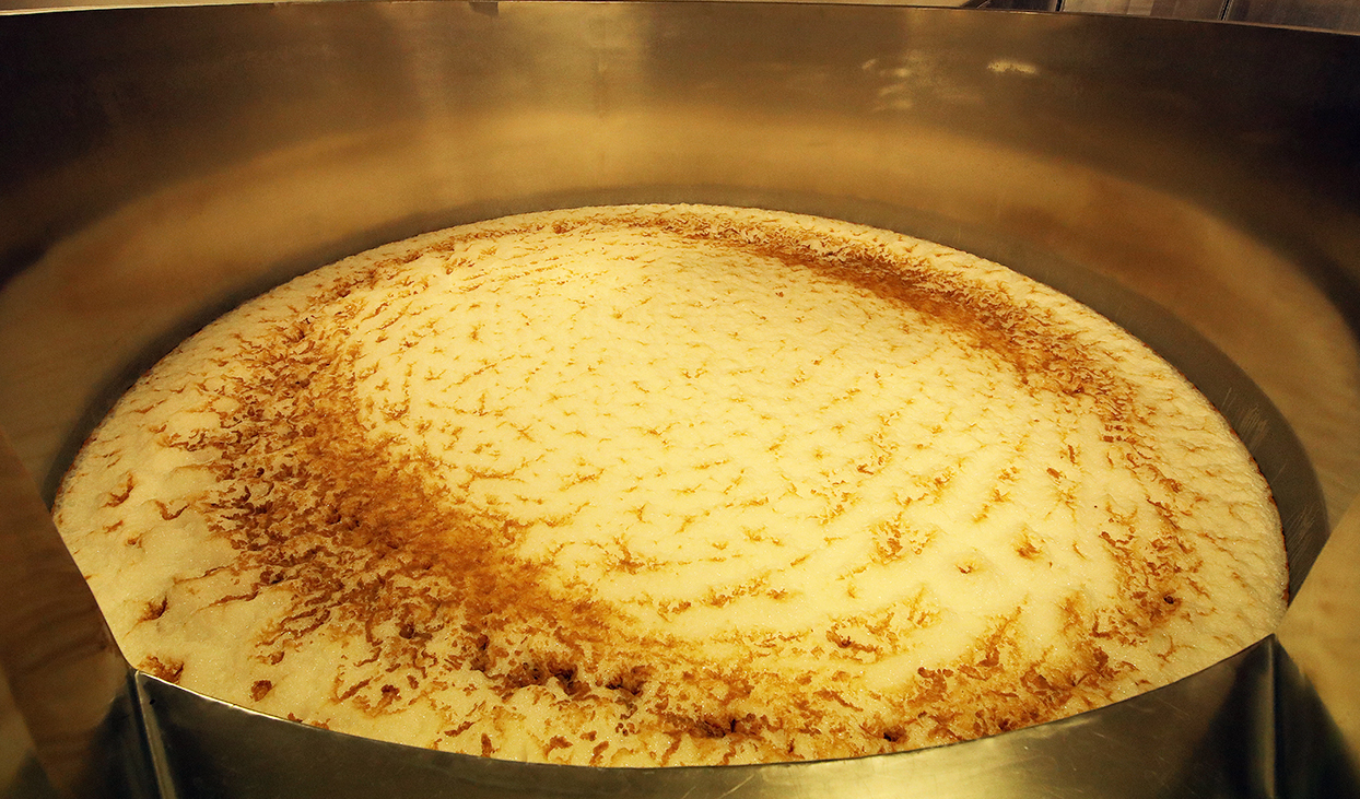Creamy fermentation head rising in a large open fermentation vessel
